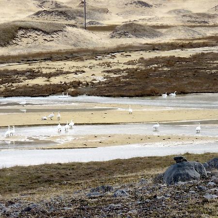 Appartamento Stekkar 23 Patreksfjordur Esterno foto