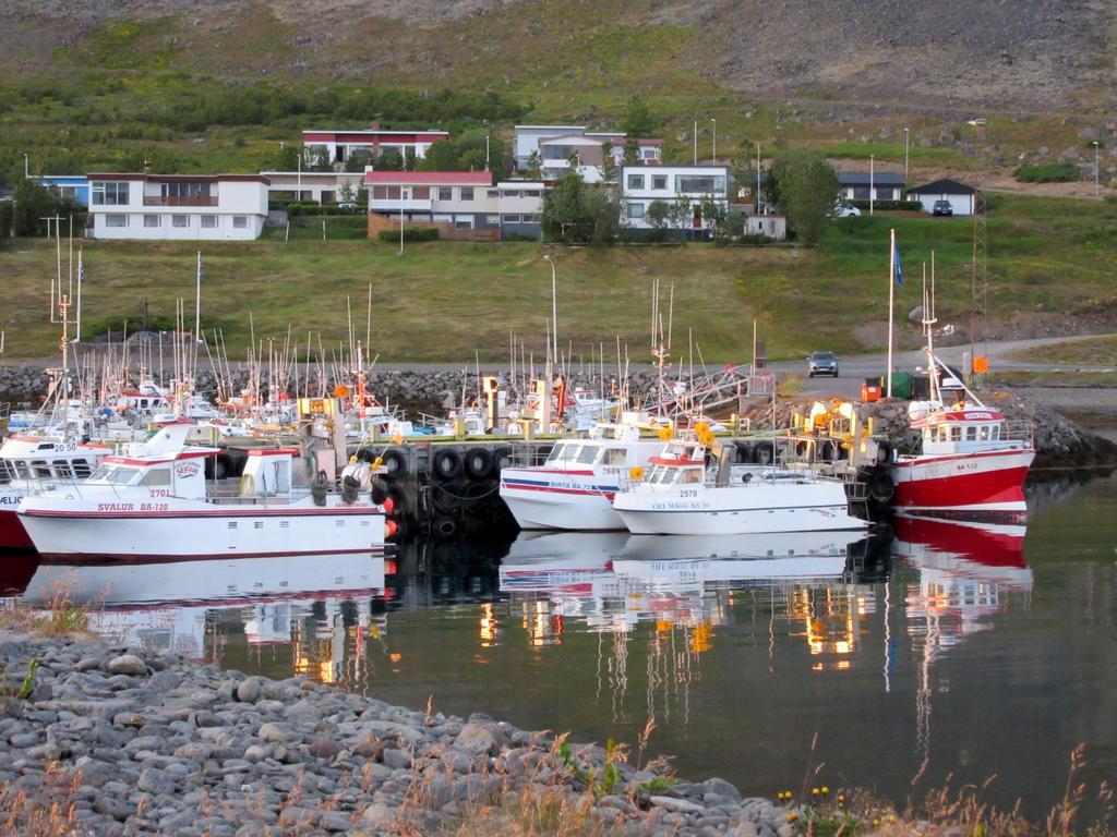 Appartamento Stekkar 23 Patreksfjordur Esterno foto