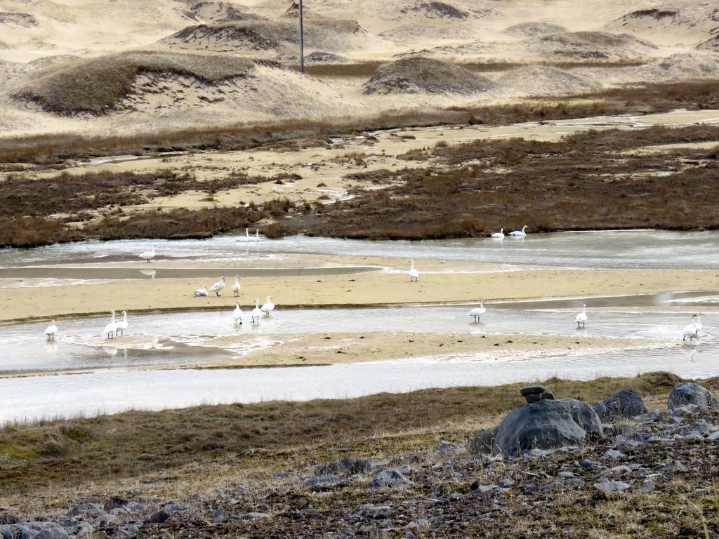 Appartamento Stekkar 23 Patreksfjordur Esterno foto